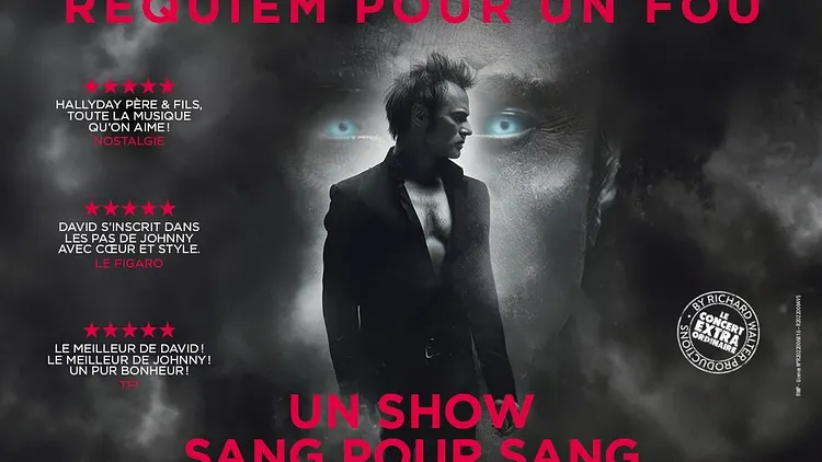 DAVID HALLYDAY, Requiem pour un fou