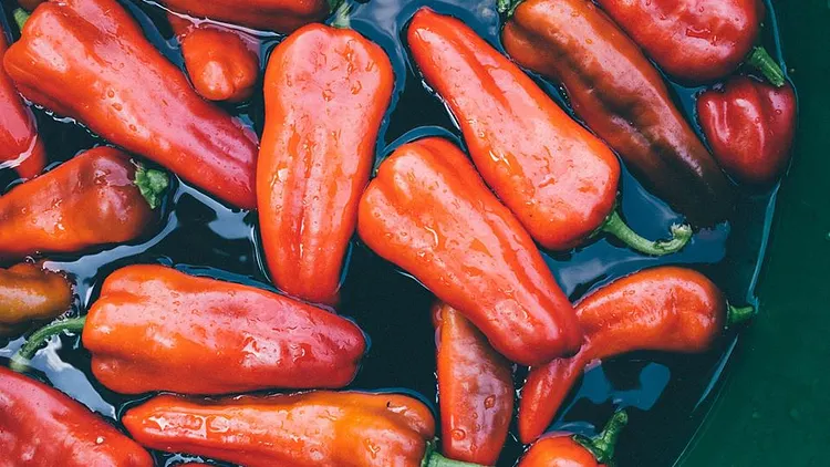 Pimentez votre St Valentin !