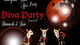 DIVA party