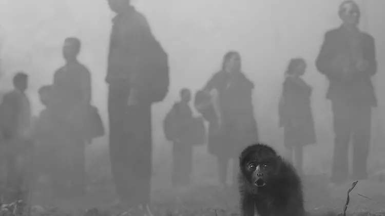 Expostion "The Day May Break : Chapitre 2" - Nick Brandt