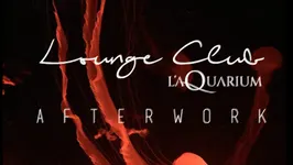 Afterwork @ Lounge Club Aquarium