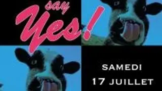 Say Yes !