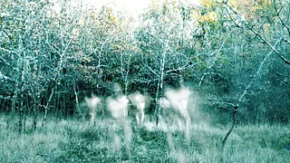 Sur les Traces de Xpujil • Nova Materia Invite Myako