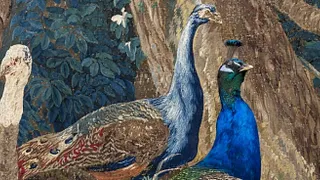 Les Animaux font le mur