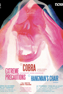 New noise in france #2 : Cobra + extreme precautions + guests