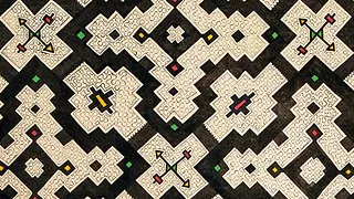 Visions chamaniques - Arts de l'Ayahuasca en Amazonie péruvienne