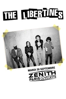 The Libertines en concert
