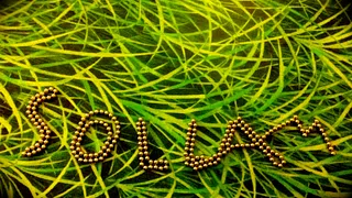 Sollam