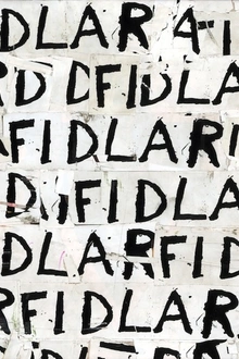 REPORTÉ - Fidlar en concert