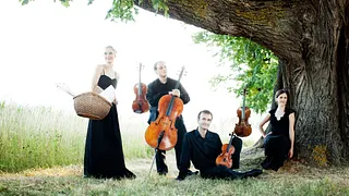 Concert ADAMAS QUARTETT