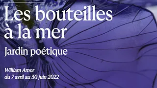Les bouteilles à la mer