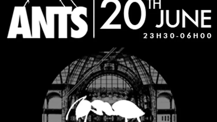 Ants Party - Cinema Paradiso / Superclub