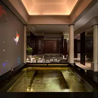 Park Hyatt Paris-Vendôme