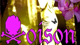 Poison After Party