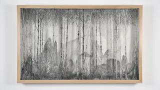 Eva Jospin Dessins pour un jardin