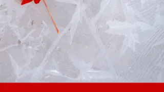 Apéro Canadien !