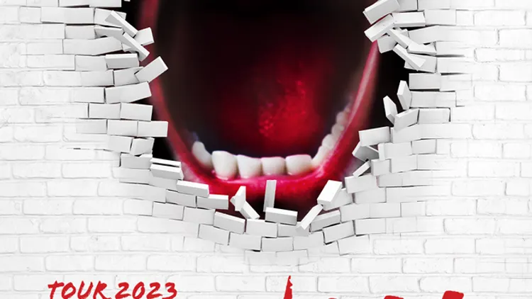 THE WALL PINK FLOYD'S ROCK OPERA