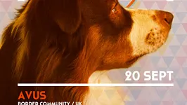 In Dog We Trust 001
