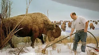 Dioramas
