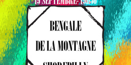 DAY ONE : BENGALE + DE LA MONTAGNE + SHOREBILLY