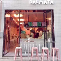 Dalmata