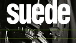 Suede en concert