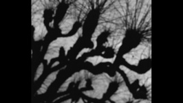 Alberto Garcia Alix - De faux horizons