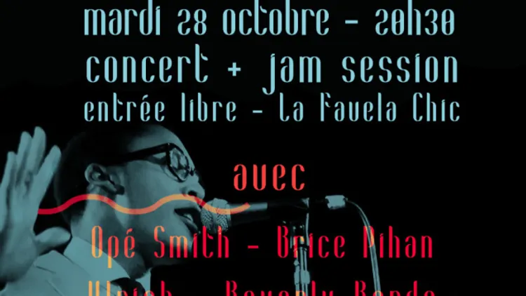 Jam to the Wild tribute to Raphael Saadiq