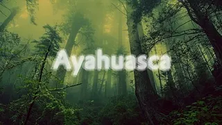 Ayahuasca : Jan Blomqvist [live], Gulivert [live], Sander