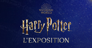 Harry Potter™