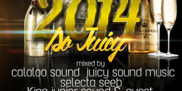 watch out 2014 so juicy