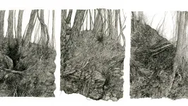 PÉTRICHOR, le Solo Show de l'illustratrice Lucille Clerc
