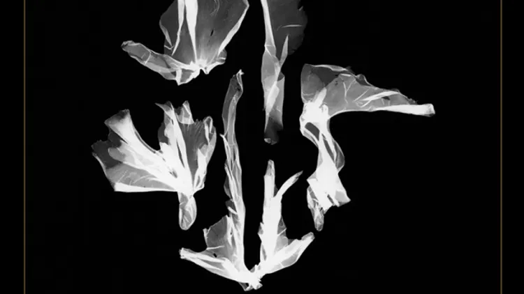 Exposition LES EAUX SOMBRES