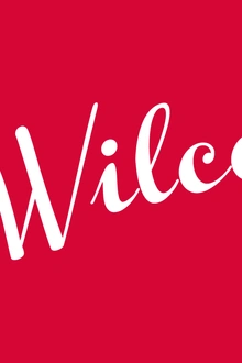 Wilco en concert
