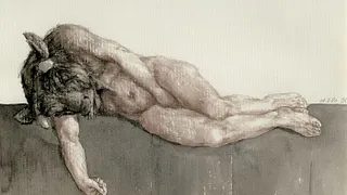 Peter Vos - Métamorphoses