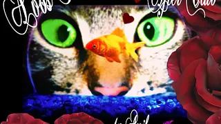 A vos poissons