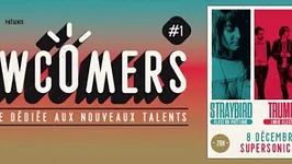 Newcomers // Straybird • Siska • Trumps (08.12.2016) // Free