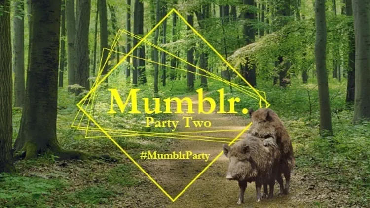 #MumblrParty Two