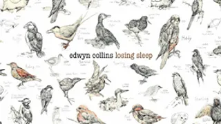 EDWYN COLLINS