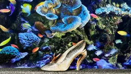 Christian Louboutin, l’exposition