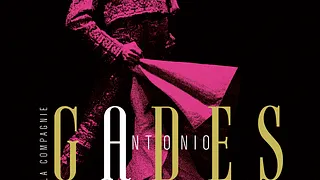 Carmen / Suite Flamenca - Compagnie Antonio Gades