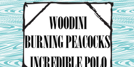 Day One : Woodini + Burning Peacocks + Incredible Polo
