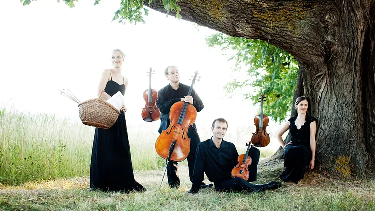 Concert ADAMAS QUARTETT