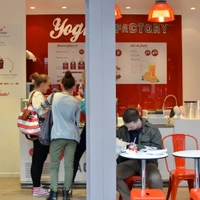 Yogurt Factory