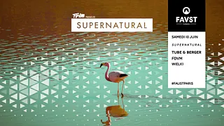Faust x Supernatural : Tube & Berger, FDVM, Wielki
