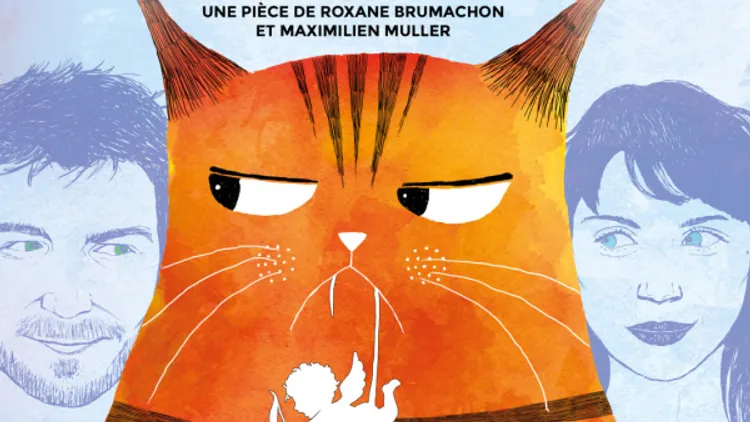 Chat Perdu