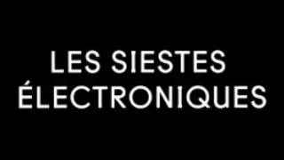 Les Siestes Électroniques 2014