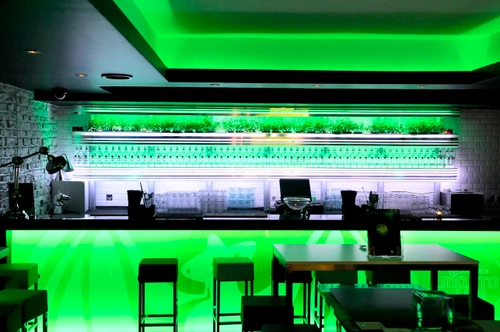 Mojito Lab Bar Paris