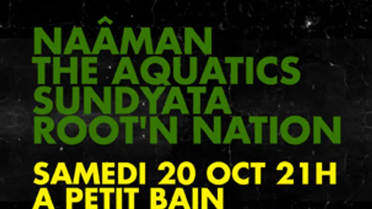 Alternative Reggae Party
