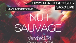 Nuit Sauvage